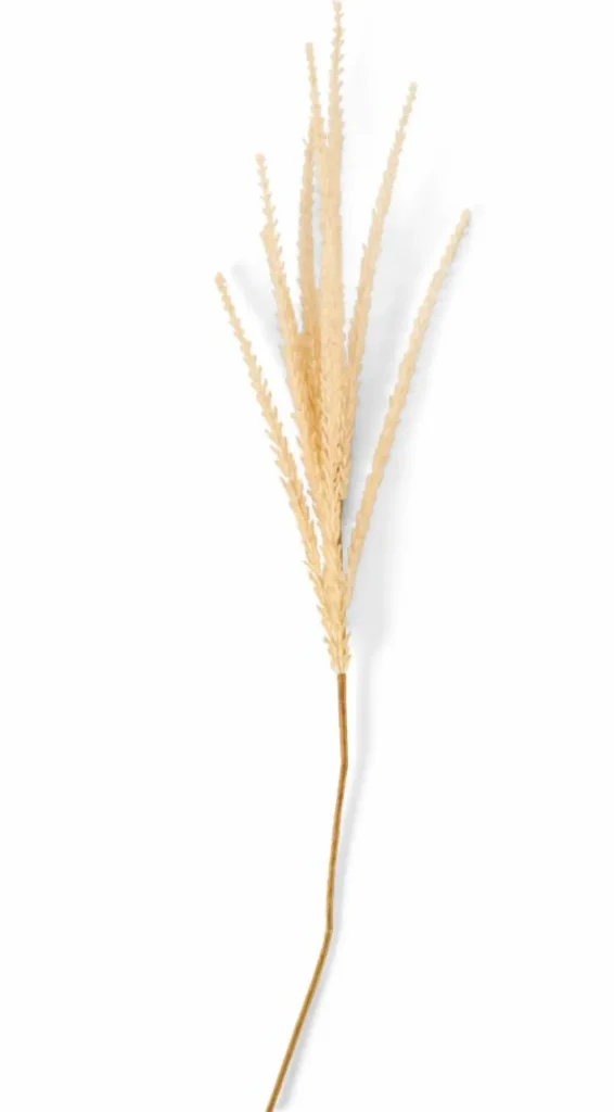 CASA ADDO Florero Crema> Floreros