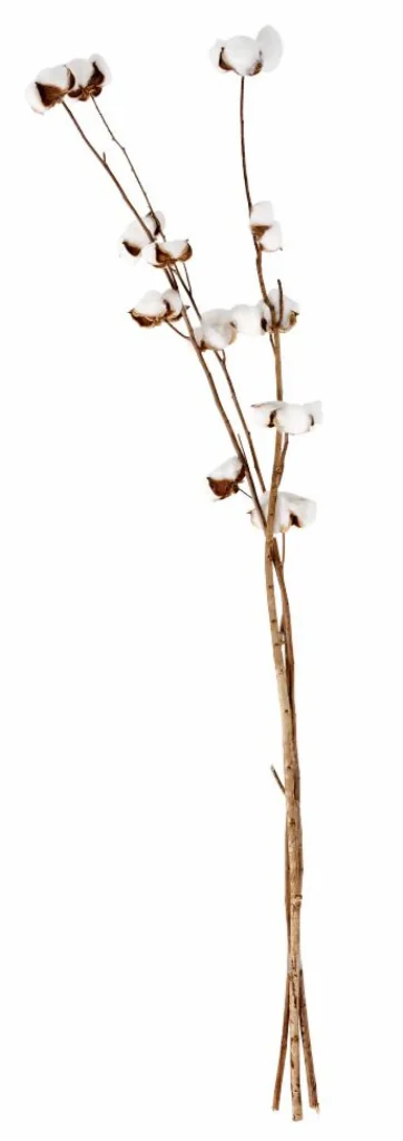 CASA ADDO Florero Crema> Floreros