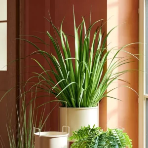 CASA ALLIUM Hierba Ornamental Verde> Plantas Artificiales