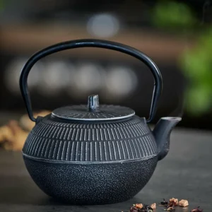CASA ASIA Tetera Negro> Accesorios De Té