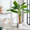 CASA BANANA Platanera Verde> Plantas Artificiales