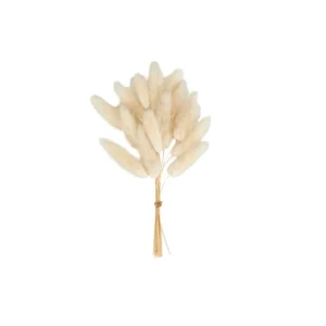 CASA BEAUTY Florero Blanco> Floreros
