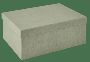 CASA BIGSO Caja De Almacenaje L Menta> Cajas De Almacenamiento