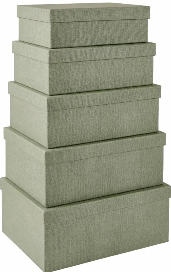 CASA BIGSO Organizador De Cajón 5 Partes Suelt. Menta> Cestas De Cajonera