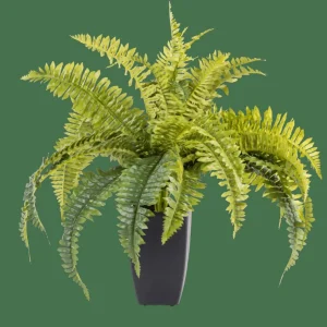 CASA BOSTON Planta Helecho Verde> Plantas Artificiales