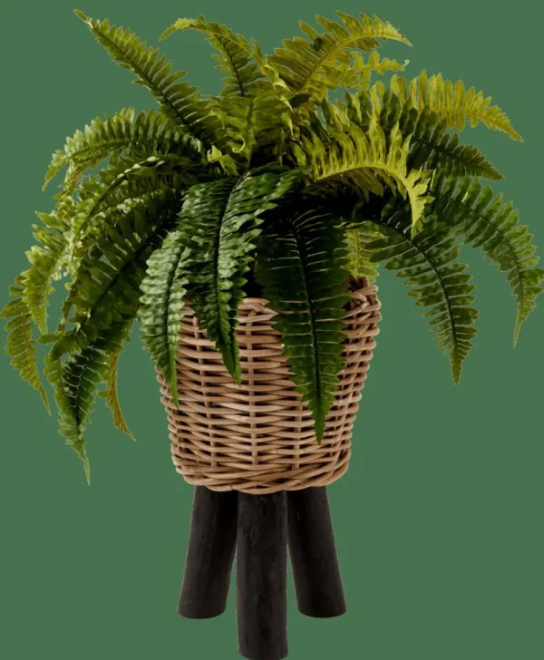 CASA BOSTON Planta Helecho Verde> Plantas Artificiales