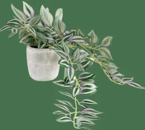 CASA CALATHEA Planta Colgante Gris, Verde, Morado> Plantas Artificiales