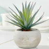 CASA CEMENT Planta Crasa Art En Tarro Gris> Plantas Artificiales
