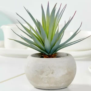CASA CEMENT Planta Crasa Art En Tarro Gris> Plantas Artificiales