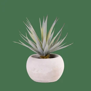 CASA CEMENT Planta Crasa Art En Tarro Gris> Plantas Artificiales