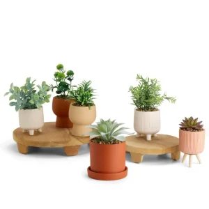 CASA CERA Planta Artificial Varios Colores> Plantas Artificiales