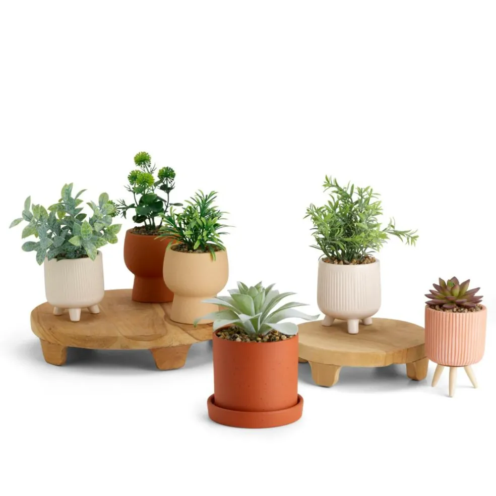 CASA CERA Planta Artificial Varios Colores> Plantas Artificiales