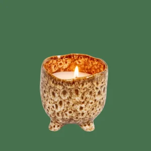 CASA CERAMIC Vela En Maceta Marrón> Velas