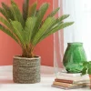 CASA CYCAS Palma Verde> Plantas Artificiales