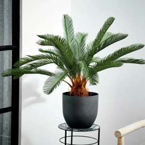 CASA CYCAS Palma Verde> Plantas Artificiales