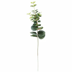 CASA EUCALYPTUS Corona Verde> Ramos Artificiales