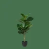 CASA FIGI Negro, Verde Oscuro> Plantas Artificiales