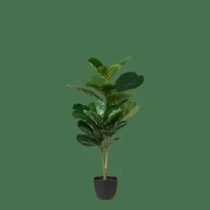 CASA FIGI Negro, Verde Oscuro> Plantas Artificiales