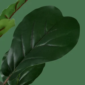 CASA FIGI Negro, Verde Oscuro> Plantas Artificiales