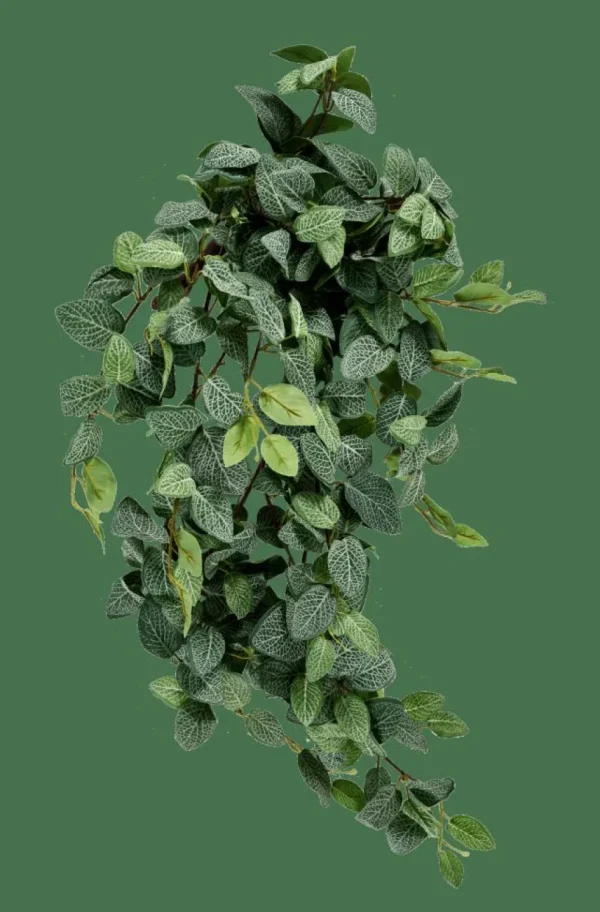 CASA FITTONIA Guirnalda De Hojas Verde> Plantas Artificiales | Ramos Artificiales