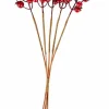 CASA FOAM Calabazas Deco Juego De 12 Rojo> Figuras Decorativas | Halloween