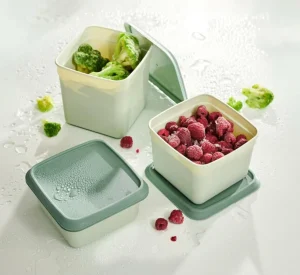 CASA FREEZER Cajas Congeladoras Juego De 10 Menta, Verde Oscuro> Taperes