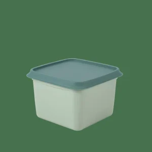 CASA FREEZER Cajas Congeladoras Juego De 10 Menta, Verde Oscuro> Taperes