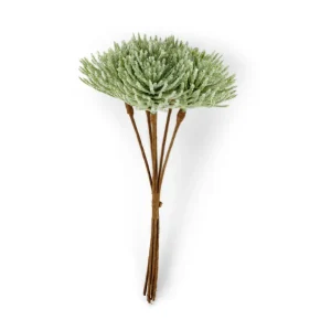 CASA FROST Alerce Verde> Ramos Artificiales