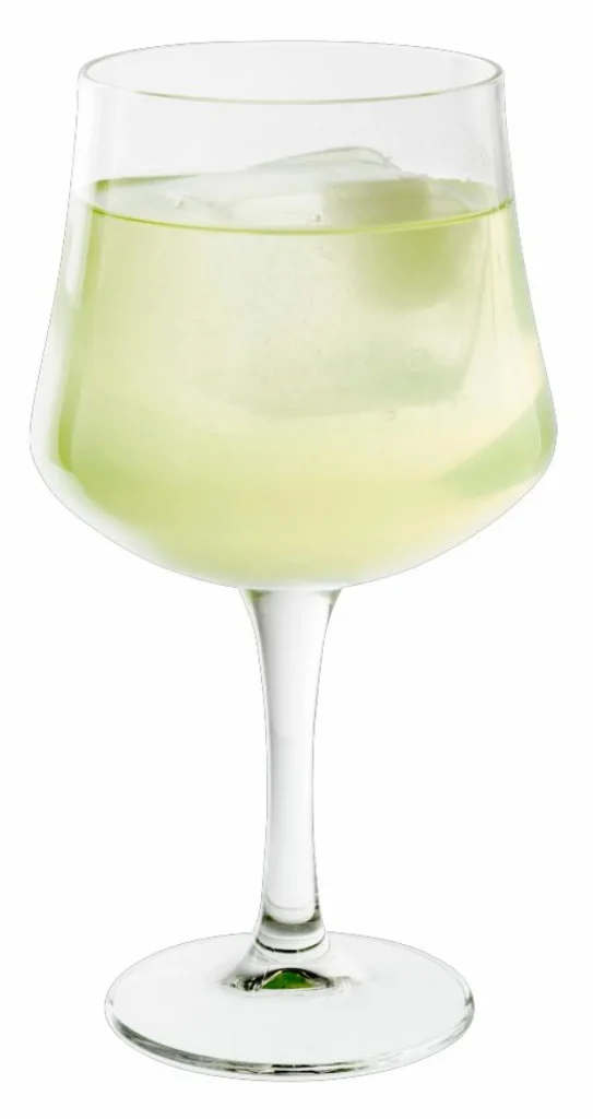 CASA GIN Vaso 65 CL Transparente> Copas De Cóctel