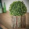 CASA GLITTER Bola De Hierba Artificial Verde> Plantas Artificiales
