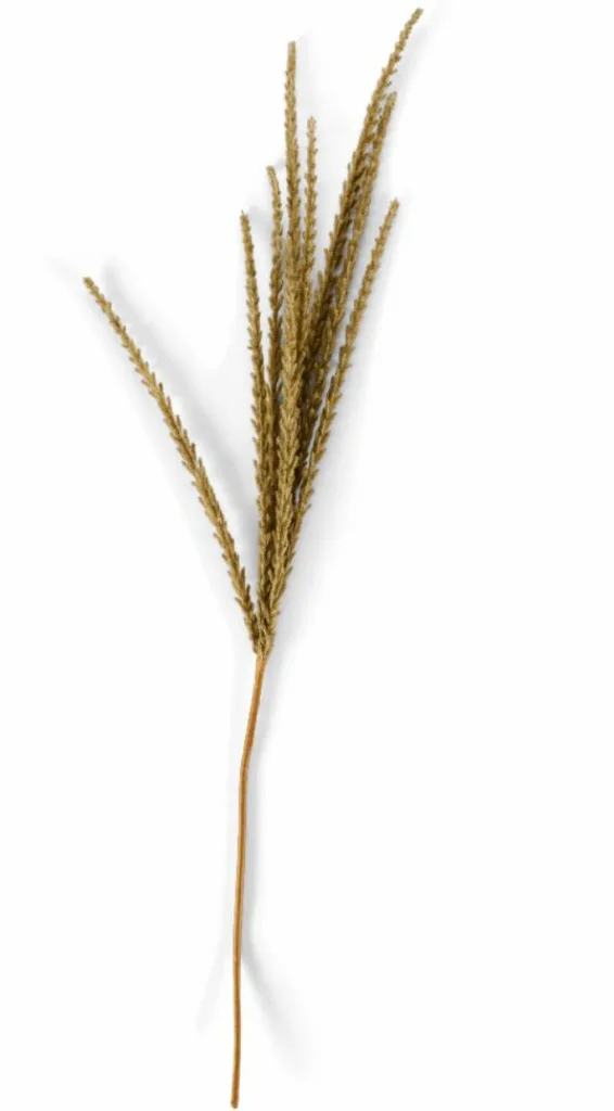 CASA GOLDENROD Tallo Blanco> Ramos Artificiales