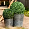 CASA GREEN Bola De Boj Artificial Verde> Plantas Artificiales