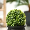 CASA GREEN Bola De Boj Artificial Verde> Plantas Artificiales