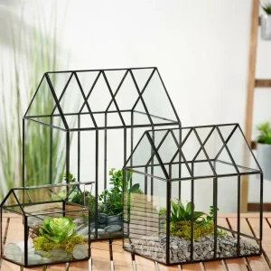 CASA GREENHOUSE Invernadero Mini Transparente> Soportes Para Plantas