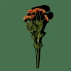 CASA INDI Naranja> Flores Artificiales | Otoño