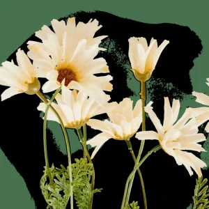 CASA INDI Rama De Flores Crema> Flores Artificiales | Otoño