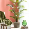 CASA KWAI Palma Verde> Plantas Artificiales