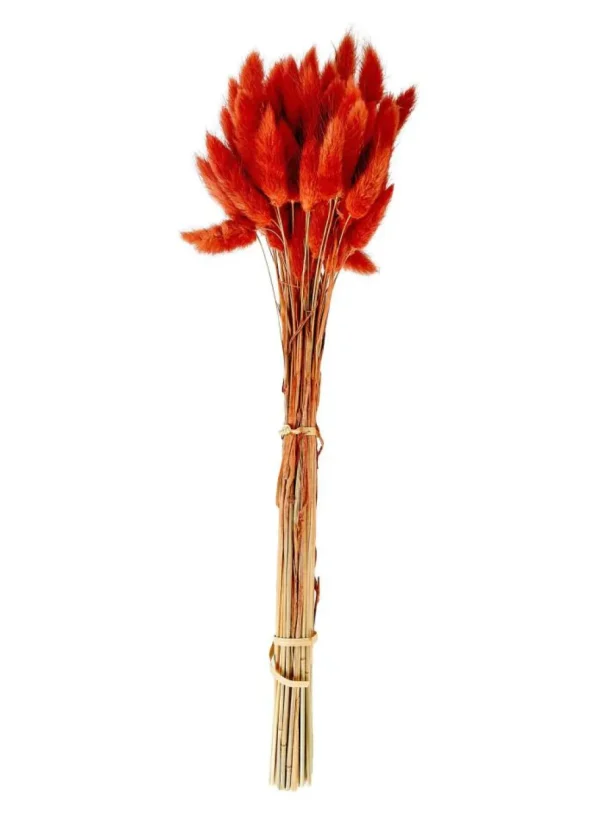 CASA LAGURUS Cola De Liebre Rojo> Flores Artificiales