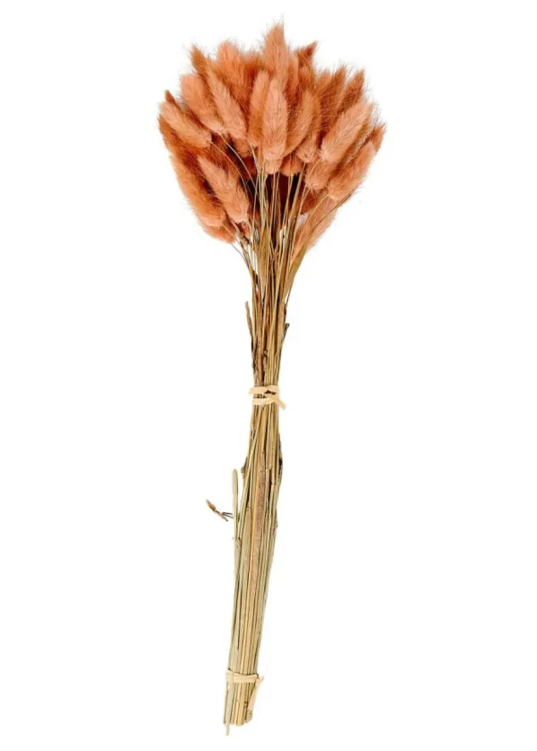 CASA LAGURUS Cola De Liebre Rosa> Flores Artificiales
