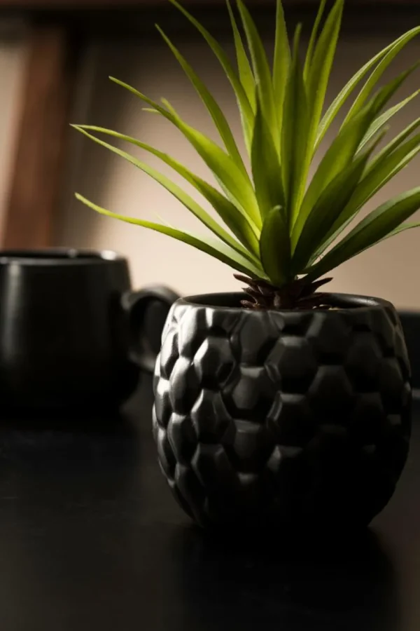 CASA LARGO Macetero Negro> Soportes Para Plantas