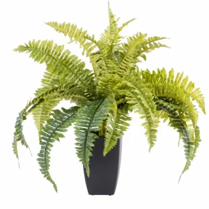 CASA LARGO Macetero Negro> Soportes Para Plantas