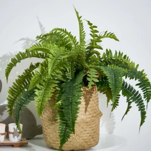 CASA LARGO Macetero Negro> Soportes Para Plantas