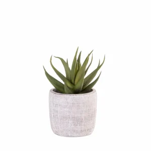 CASA LARGO Macetero Negro> Soportes Para Plantas