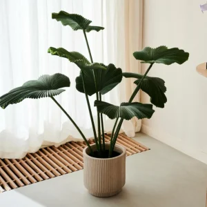 CASA LOTUS Planta Verde> Plantas Artificiales