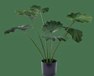 CASA LOTUS Planta Verde> Plantas Artificiales