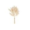 CASA MINA Decoración Seca Blanco> Flores Artificiales