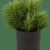 CASA MOHAVE Varios Colores> Plantas Artificiales