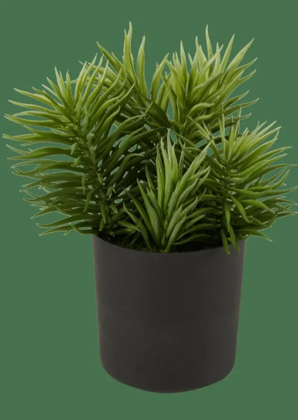 CASA MOHAVE Varios Colores> Plantas Artificiales