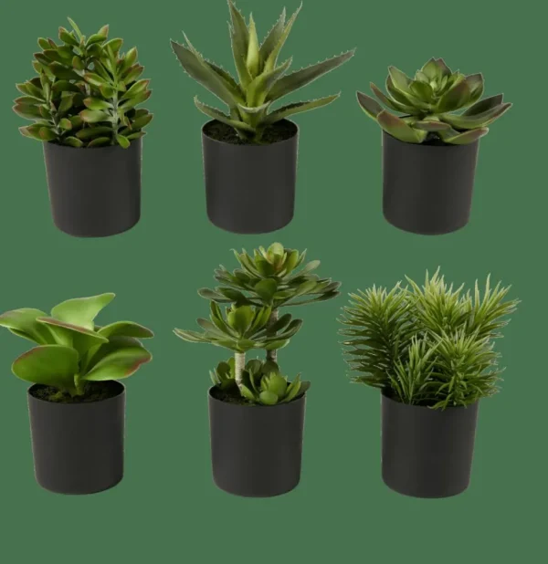 CASA MOHAVE Varios Colores> Plantas Artificiales