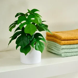 CASA MONSTERA Planta Varios Colores> Plantas Artificiales